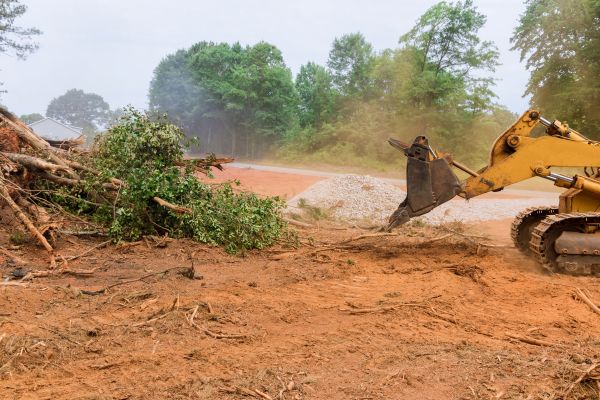 Ground Clearing in Logan