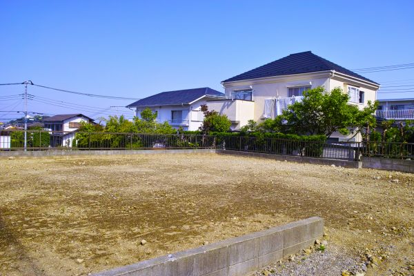 Cost of Lot Clearing Service in Logan