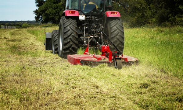 Brush Clearing Service in Logan