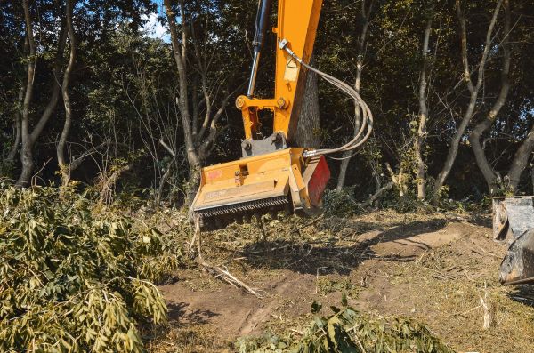 Brush Removal Service in Logan