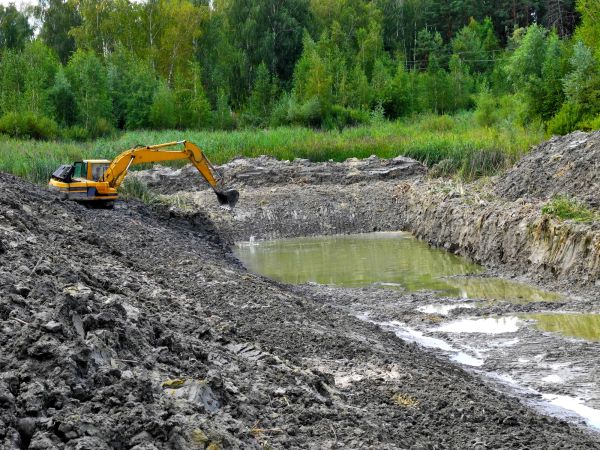 Cost of Lake Lot Clearing in Logan