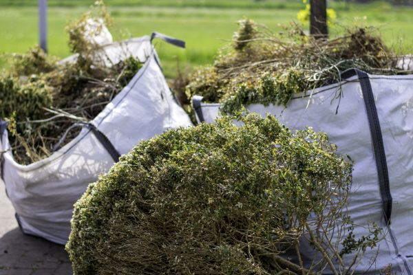 Cost of Bushes Clearing in Logan