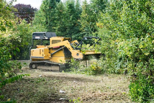 Cost of Pathway Clearing in Logan