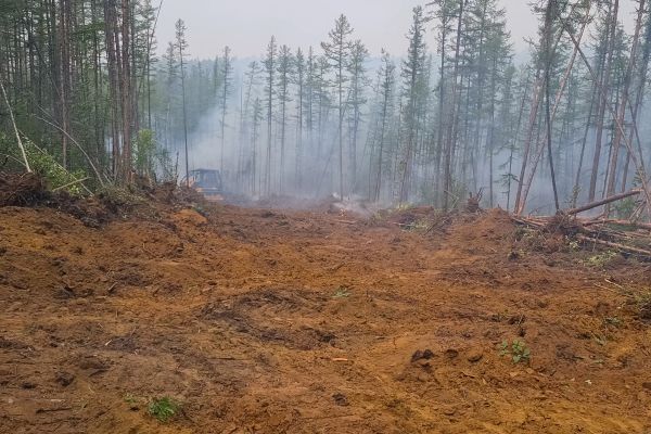 Cost of Hill Clearing in Logan