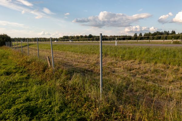 Cost of Property Line Clearing in Logan