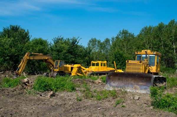Cost of Bulldozer Clearing in Logan