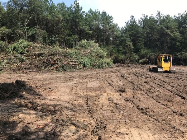 Cost of Thicket Clearing in Logan