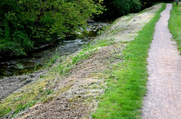 Cost of Trail Cutting in Logan